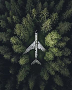 Vliegtuig in het bos van fernlichtsicht
