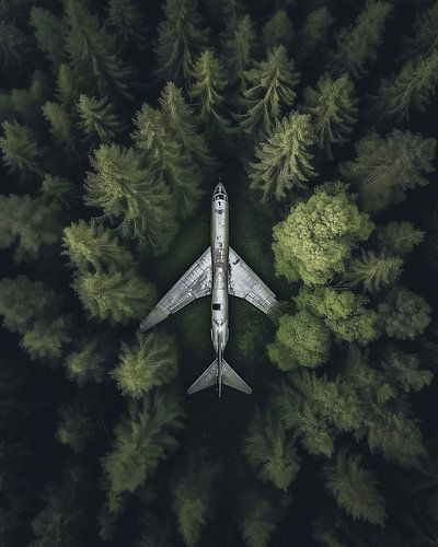 Aeroplane in the forest