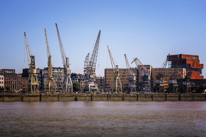 Grues portuaires d'Anvers par Els F.