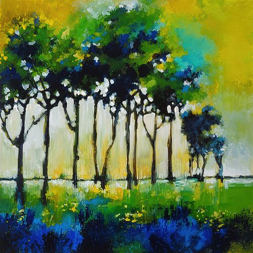 Sunlight through the branches