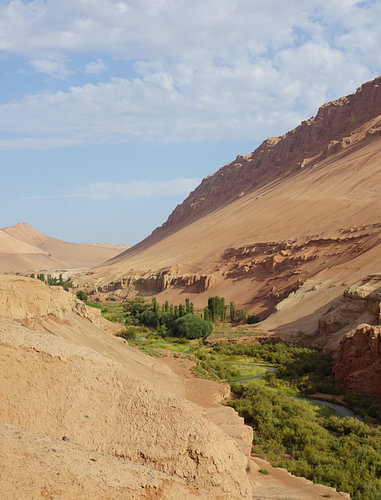 Une oasis dans le désert