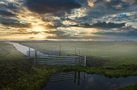 Fog near Schermerhorn by peterheinspictures thumbnail