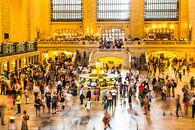 Grand Central Station, New York van Eric van Nieuwland thumbnail