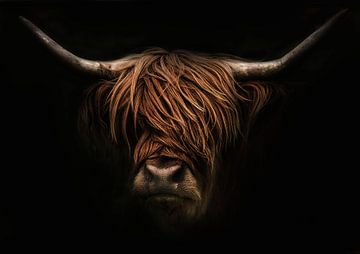 The Scottish Highlander by Bert Hooijer
