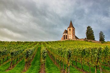 Charaktervolle Kirche in den französischen Weinbergen des Elsass von Connie de Graaf