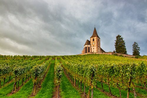 Characterful little church in the French vineyards of Alsace