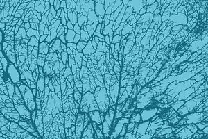 Die Seele des Waldes Petrol Teal Cyan