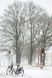 Hollandse Winter