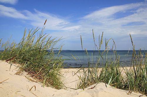 Summer at the Baltic Sea