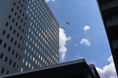 Wolkenkrabber met vogels/ Wolkenkratzer mit Vögeln