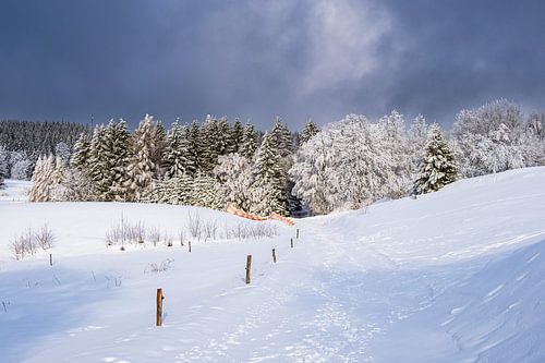 Landschap in de winter in het Thüringer Woud bij Schmied
