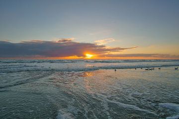 Op het strand van Blåvand bij zonsondergang aan zee van Martin Köbsch