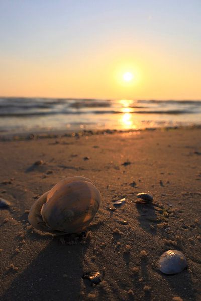 Baltic Sea at sunrise by Thomas Jäger