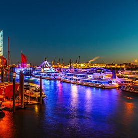 City harbour Hamburg at the blue hour by Ursula Reins