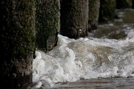 Golf breekt op paalhoofden 2 van Percy's fotografie