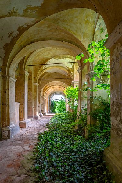 Un passage envahi par la végétation d'une ancienne église par Truus Nijland