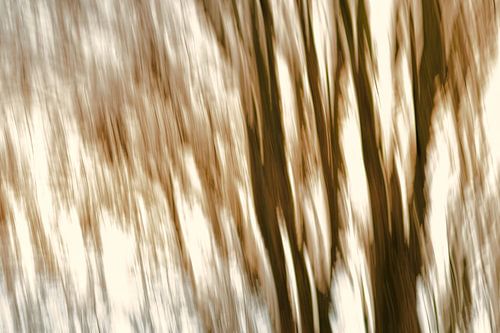 Creativiteit in het bos