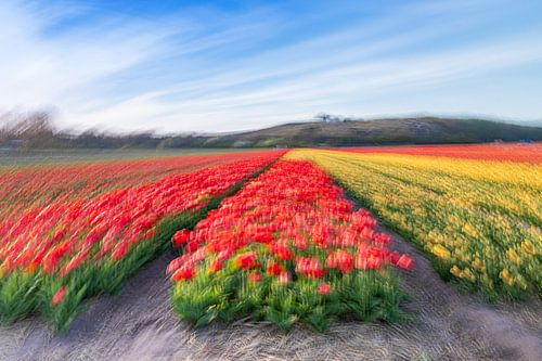 Waves of Spring