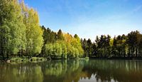 natuur reflectie von Jan  Sterken Miniaturansicht