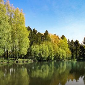 natuur reflectie von Jan  Sterken