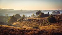 Morning mist on the Posbank