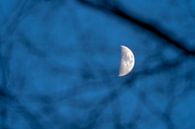 Crescent moon by Stephan Zaun thumbnail