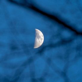 Crescent moon by Stephan Zaun