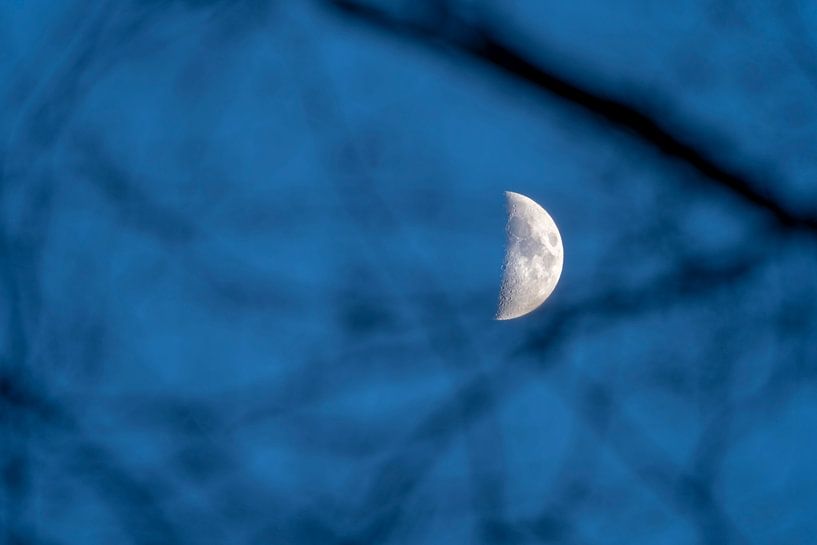Crescent moon by Stephan Zaun