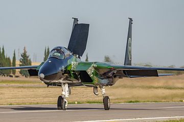 Saoedische Boeing F-15 Eagle op vliegbasis Tanagra. van Jaap van den Berg