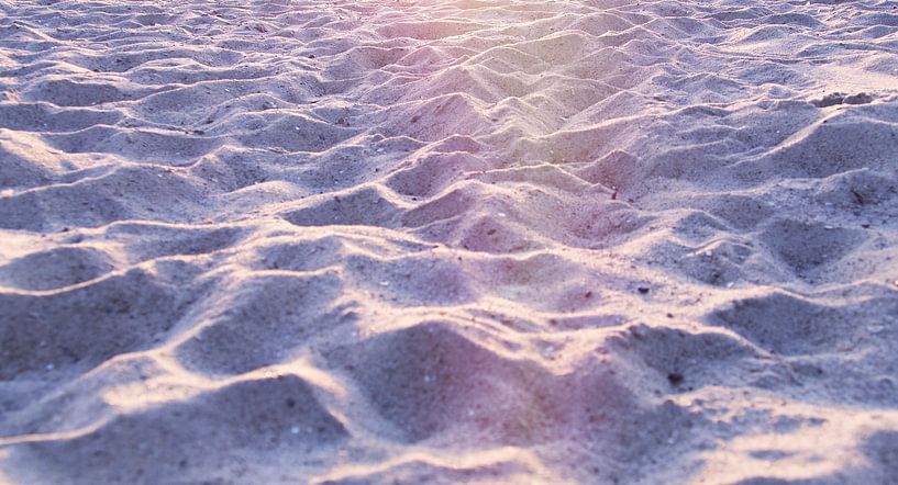 Beach sand at dawn by Susanne Begert