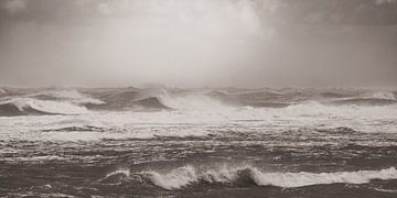 Sturm an der Nodseeküste von Christoph Schaible