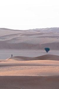 Petit dans le désert d'Oman