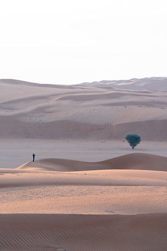 Klein in de Woestijn van Oman