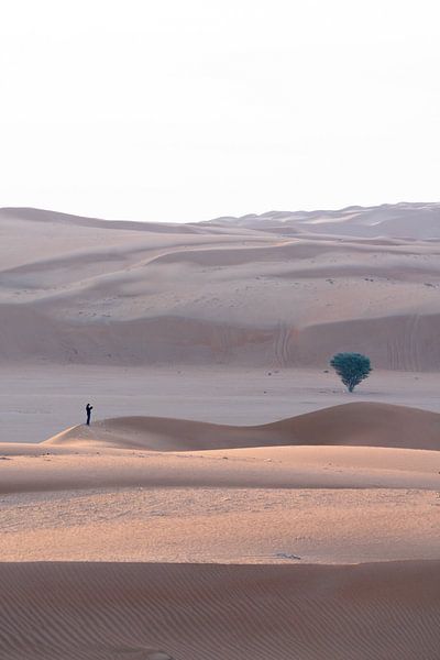 Klein in de Woestijn van Oman van The Book of Wandering