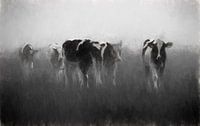 koeien in de mist van Yvonne Blokland thumbnail