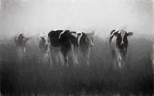 koeien in de mist van Yvonne Blokland