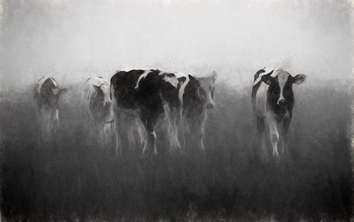 koeien in de mist