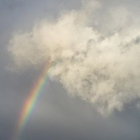 Arc-en-ciel parmi les nuages sur Rossum-Fotografie