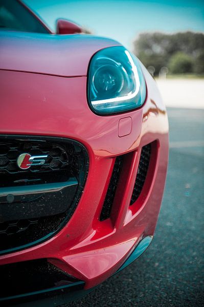 Eye of the tiger von Sytse Dijkstra