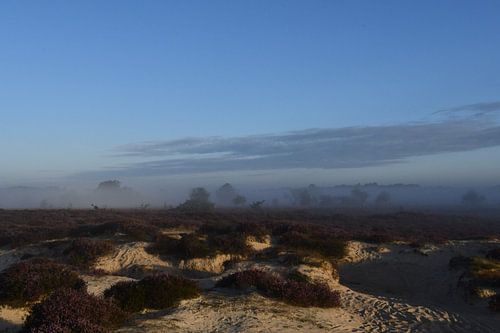 Nevel over het Balloërveld