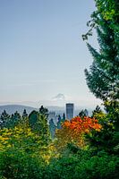 A view over Portland