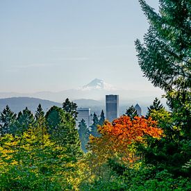 Een uitzicht over Portland van Rauwworks