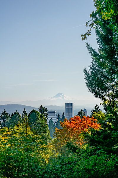 Een uitzicht over Portland van Rauwworks