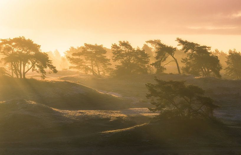 Zonsopkomst tijdens mist op Hulshorsterzand van Dennis Mulder