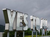 YES TO ALL !!!