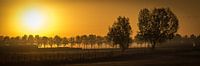 Sunrise in panorama