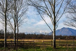 La Mandria bei Turin