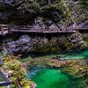 Radovna-rivier in de Vintgarkloof (Slovenië) van Jessica Lokker
