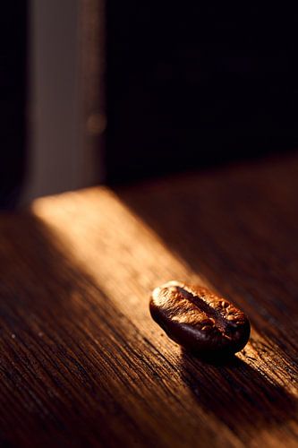 Coffee bean in sunlight