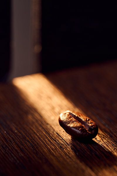 Koffieboon in het zonnetje van Wahid Fayumzadah